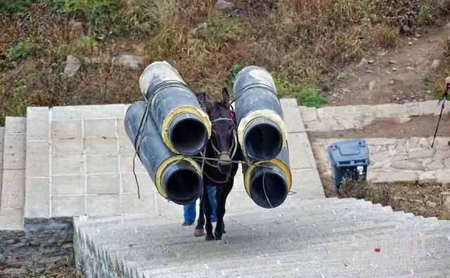 清远马帮运输